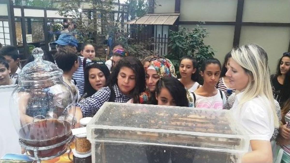 D&uuml;zce &Uuml;niversitesi Antalya&rsquo;da B&uuml;y&uuml;k İlgi G&ouml;rd&uuml;