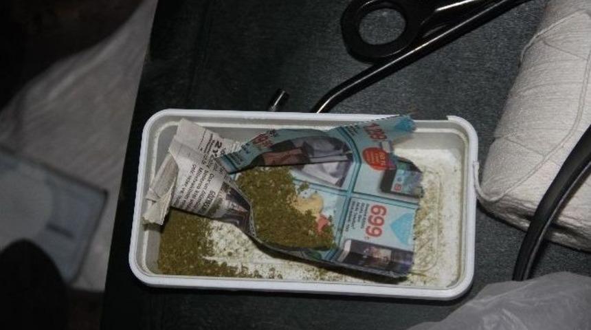 Saksıda Kenevir Yetiştirdi