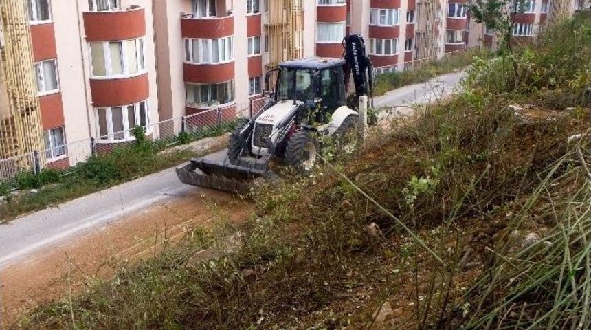 Yıllardır Atıl Durumdaki Otluk Alan Çok Amaçlı Bir Park Haline Getirilecek