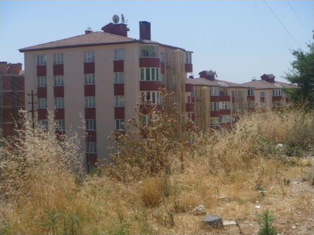 Yıllardır Atıl Durumdaki Otluk Alan Çok Amaçlı Bir Park Haline Getirilecek 2