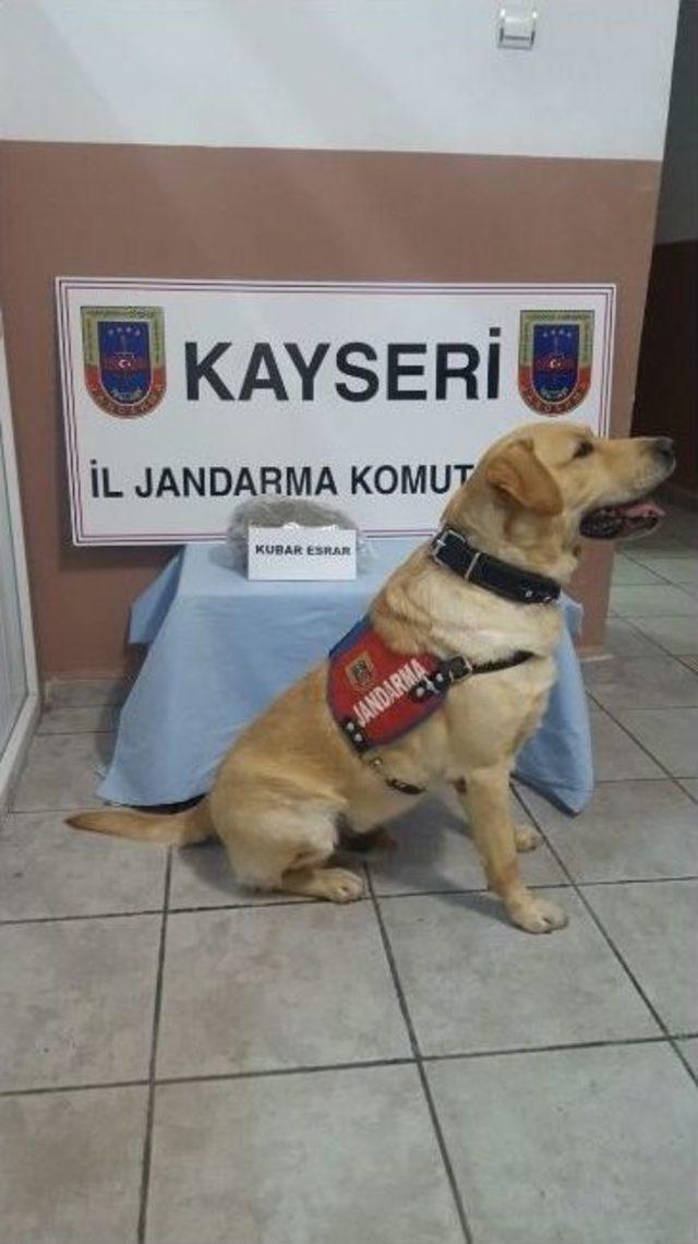 Jandarma’dan Uyuşturucu Operasyonu