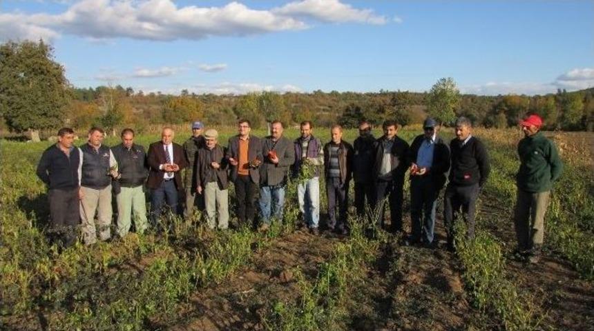 Chp Milletvekili &Ouml;z, Biber &Uuml;reticileriyle G&ouml;r&uuml;şt&uuml;