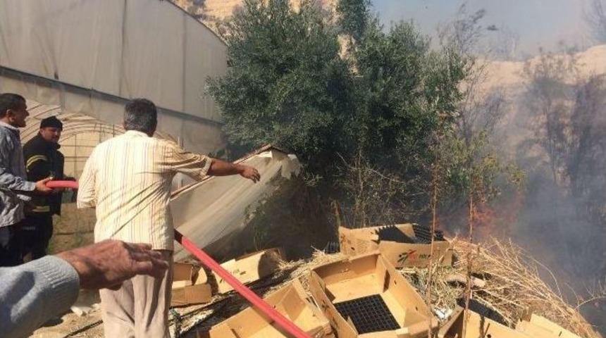 Antalya&rsquo;nın Aksu İl&ccedil;esinde Orman Yangını