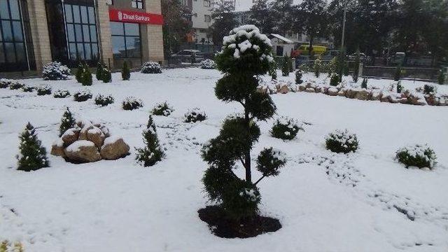 Erzincan’da Kar Yağışı