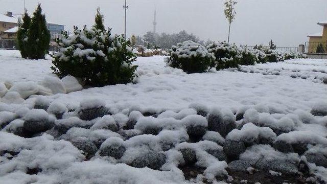 Erzincan’da Kar Yağışı