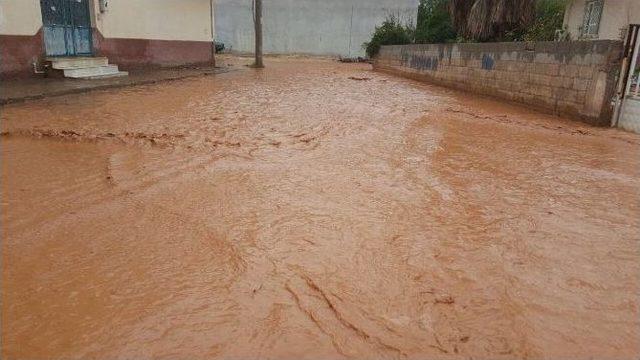 Suruç’ta Yağmur Beraberinde Sel Getirdi