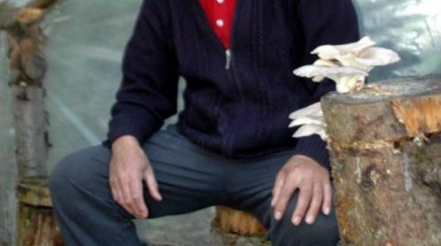 Misafirlerine Ikram Ettiği Mantarın Ticaretine Başladı