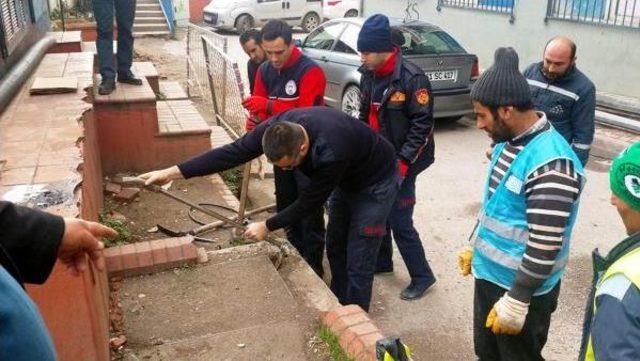 Esnafın Dikkati Köpekleri Kurtardı