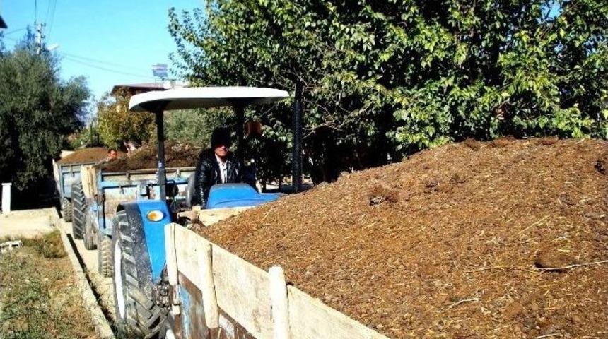 Sarıg&ouml;l &Uuml;z&uuml;m Bağlarına Doğal G&uuml;bre