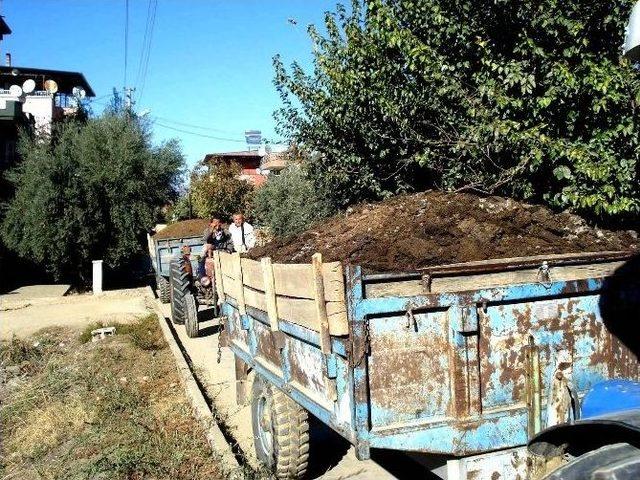 Sarıgöl Üzüm Bağlarına Doğal Gübre