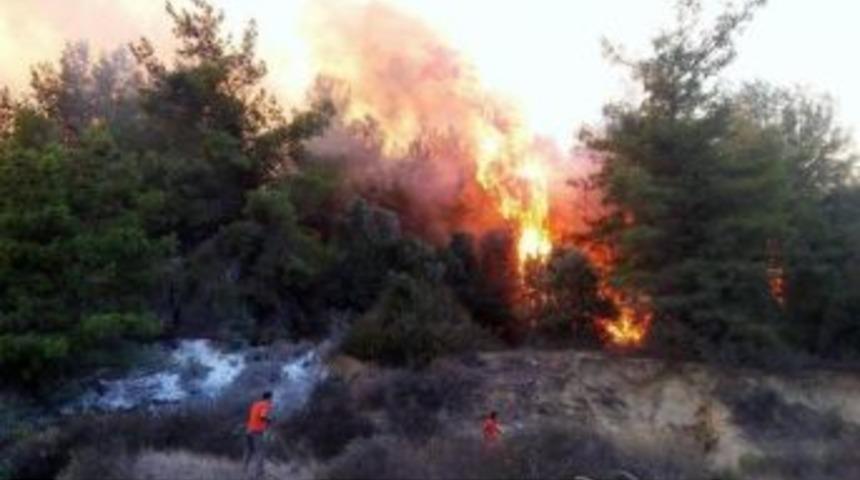 Antalya&rsquo;daki Yangın Kontrol Altına Alındı
