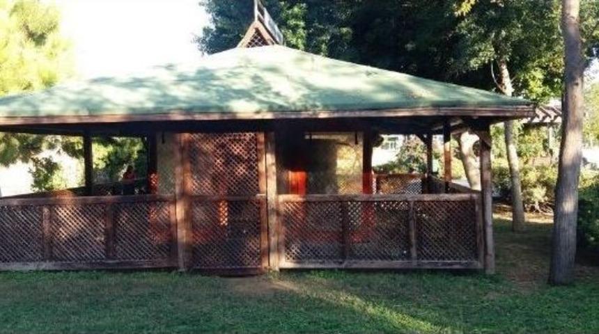 Antalya&rsquo;da D&ouml;rt Kedinin &Ouml;ld&uuml;r&uuml;ld&uuml;ğ&uuml; Kedi Evi Boşaltıldı