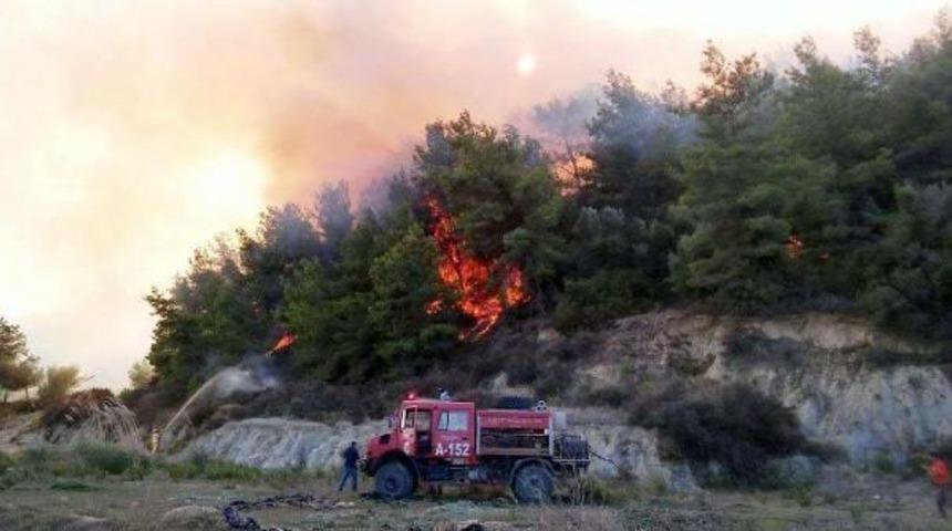 Antalya'da 10 Hektar Ormanlık Alan Ve Zeytin Ağa&ccedil;ları Yandı