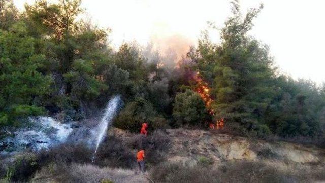 Antalya'da 10 Hektar Ormanlık Alan Ve Zeytin Ağaçları Yandı