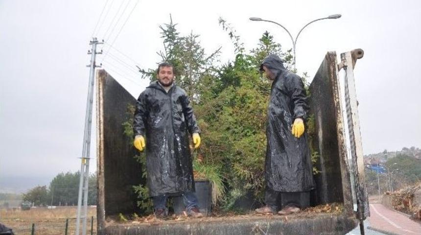 G&ouml;lbaşı G&ouml;lleri &Ccedil;evresi Ağa&ccedil;landırma &Ccedil;alışması Yapılıyor