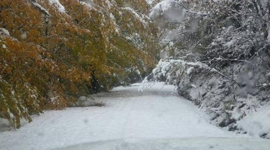 Azdavay&rsquo;da Kar Yağışı Hayatı Olumsuz Etkiliyor