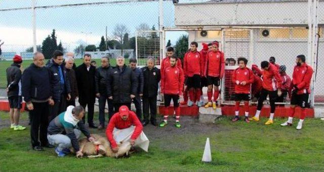 Samsunspor Teknik Direktörü Özköylü: Kazanmak Için Çıkacağız