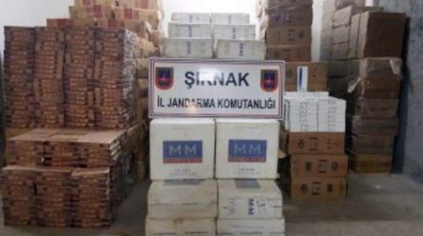 Şırnak’ta 130 Bin Paket Kaçak Sigara Ele Geçirildi