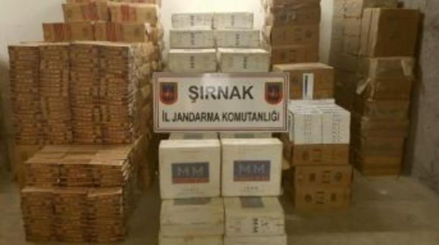 Şırnak'ta 130 Bin Paket Kaçak Sigara Ele Geçirildi