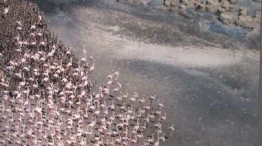 Fotoğraf&ccedil;ılardan "tuz G&ouml;l&uuml; Yok Olmasın" Sergisi