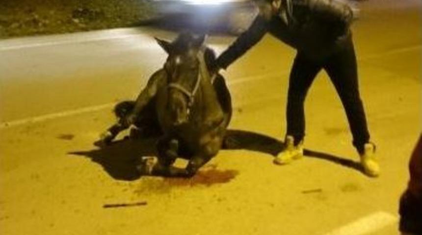 Bursa&rsquo;da At Kazası