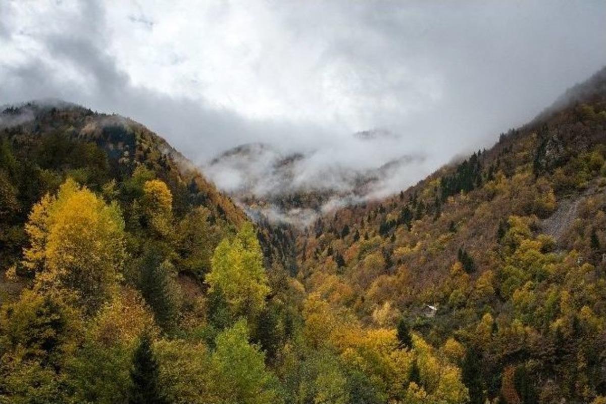 &Ouml;r&uuml;mcek Ormanları&rsquo;ndan Son &rsquo;bahar&rsquo; Manzaraları