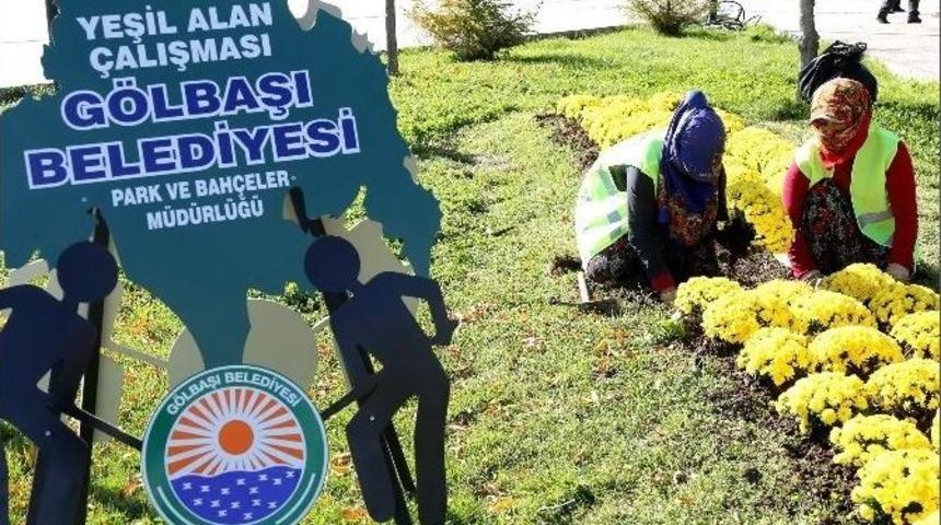 G&ouml;lbaşı Kışın Da Reng&acirc;renk