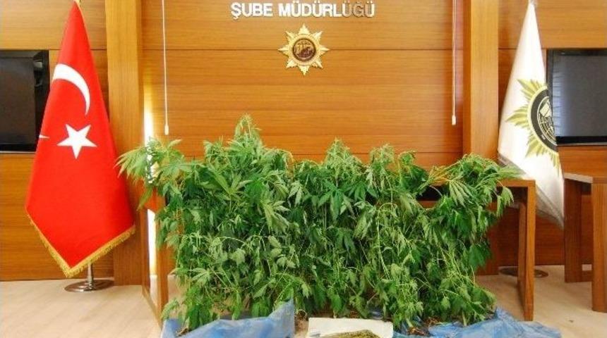 İstanbul’da Uyuşturucu Serasına Çevrilmiş Eve Baskın