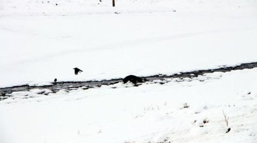 G&ouml;&ccedil;erler, Kışa Yolda Yakalandı