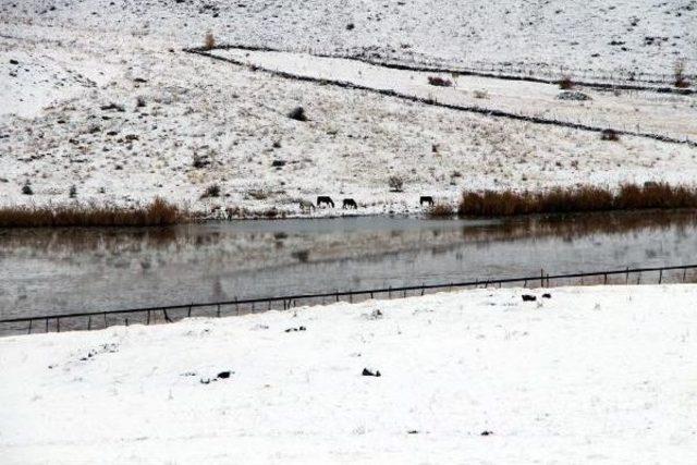 Göçerler, Kışa Yolda Yakalandı