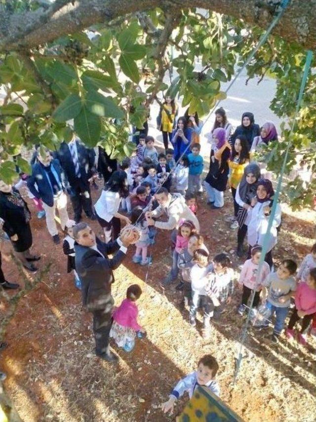 Ga&uuml;n Anaokulu &Ouml;ğrencilerinden &ldquo;yaşıyorum Yaşatıyorum&rdquo; Projesine Destek 2