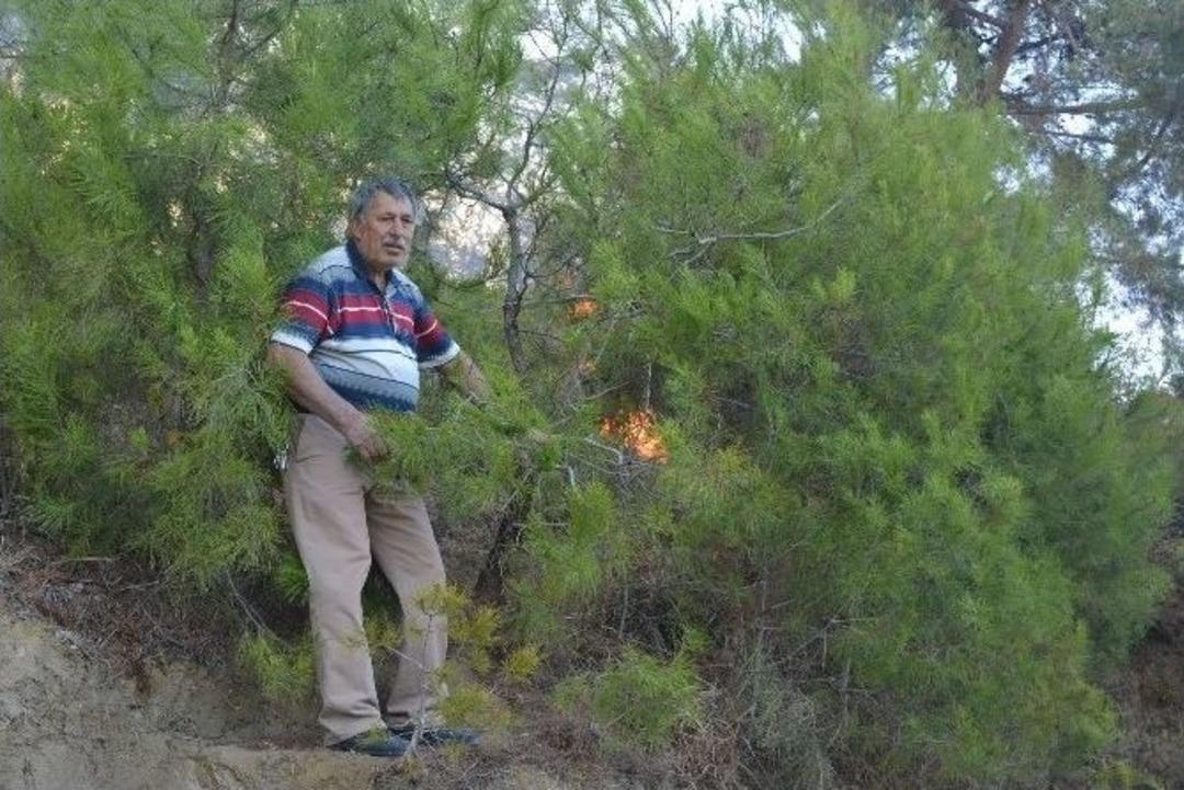 Orman Yanmasın Diye Kendini Alevlerin İ&ccedil;ine Attı