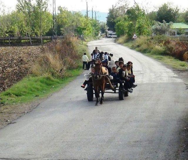 Öğrenciler Okula At Arabasıyla Gidiyor