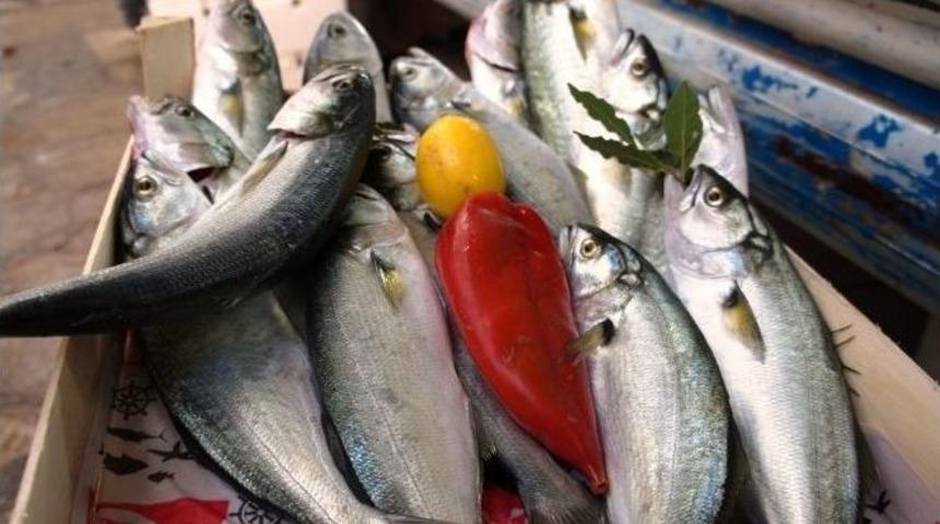 Lapseki&rsquo;de Balık Fiyatları Ucuzladı