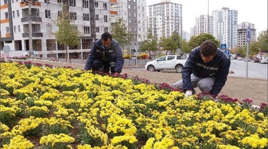 Talas, Mevsiminin &Ccedil;i&ccedil;ekleriyle Renklendi