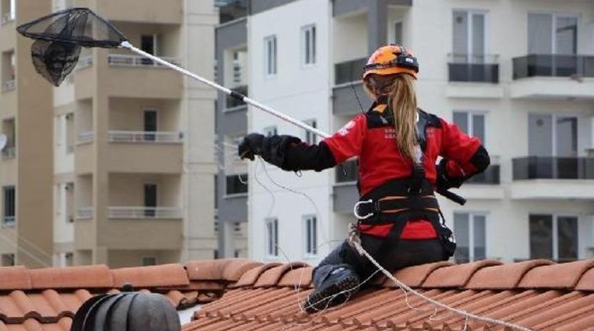 Nil&uuml;fer&rsquo;De Kedi Kurtarma Seferberliği