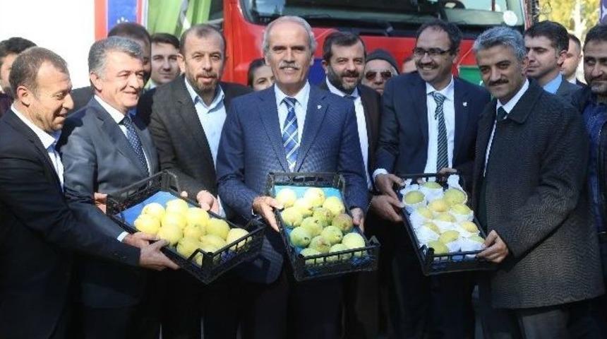 Bursa&rsquo;dan Hollanda&rsquo;ya Armut Ve Ayva İhracatı Başladı