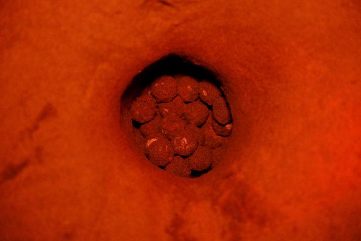 Reuters'ın gözünden İztuzu!  G5