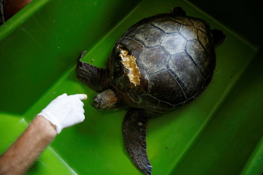 Reuters'ın g&ouml;z&uuml;nden İztuzu! 