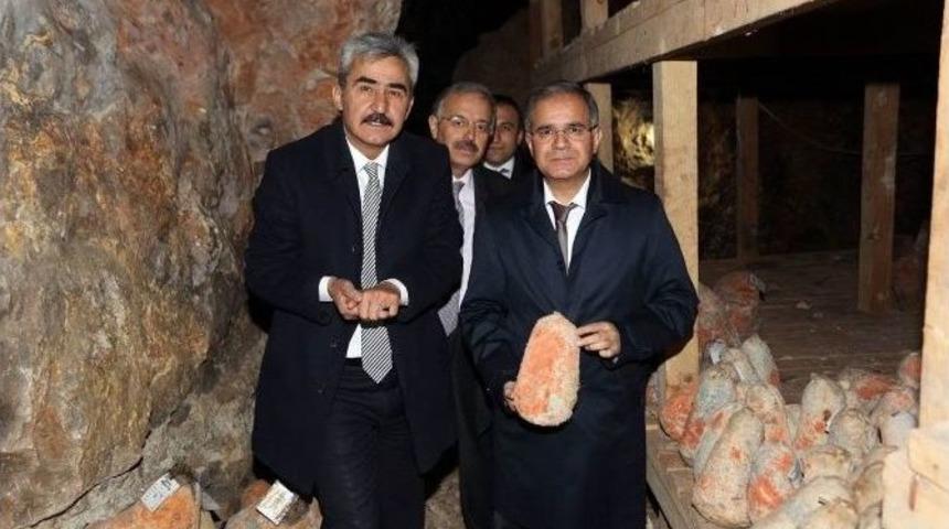 Divle Obruk Peyniri D&uuml;nya&rsquo;ya A&ccedil;ılıyor