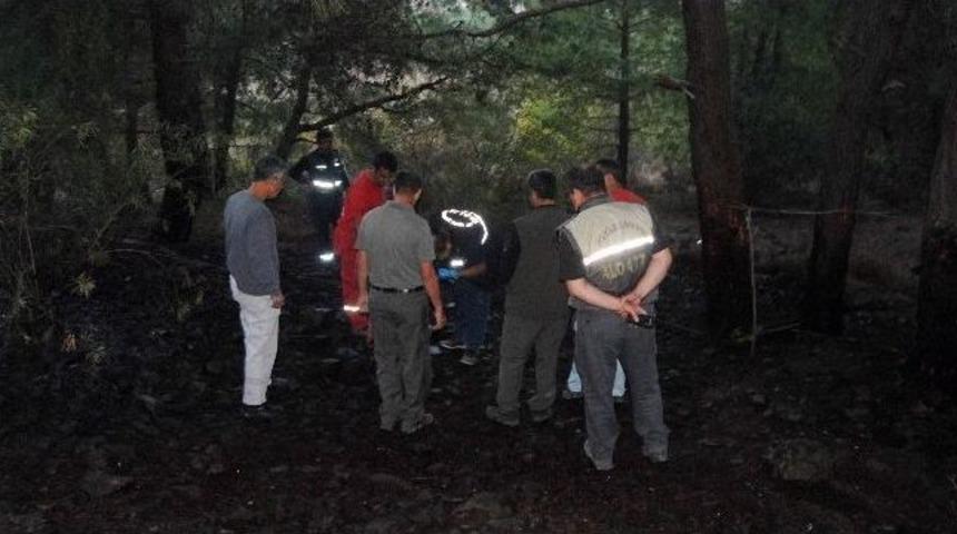 Mangal Yaparken Orman Yangını &Ccedil;ıkardılar