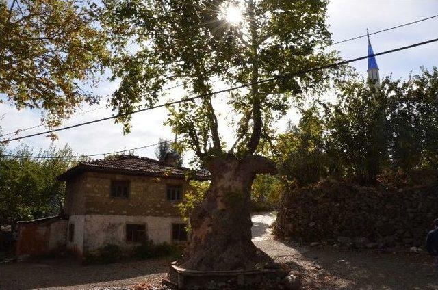 Köyceğiz Belediyesi’nden Kaçak Önlemi