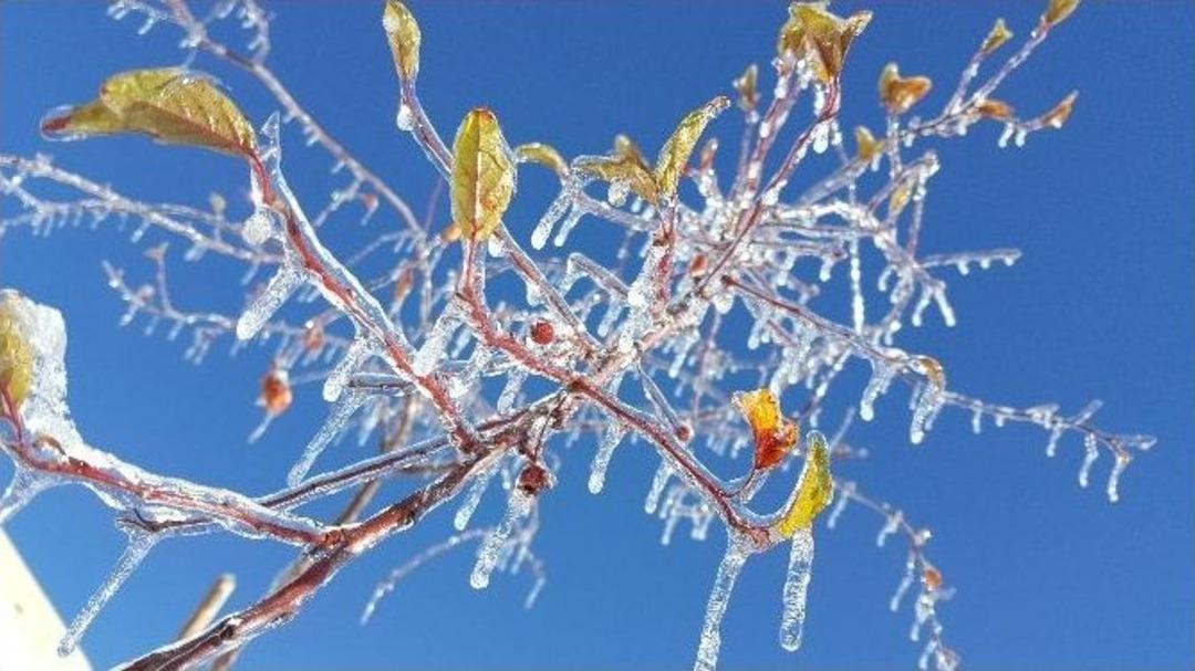 (&ouml;zel Haber) Burası Sibirya Değil Tatvan