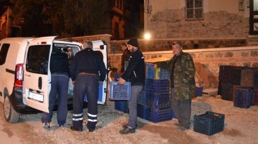 Zeytin &Uuml;reticisi De, T&uuml;ccarı Da Mutsuz