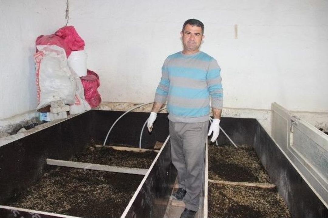 (&ouml;zel Haber) Emekli Asker Kiraladığı Ahırda Solucan G&uuml;bresi &Uuml;retiyor