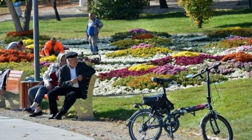 Anfa Kasıma Rengarenk Girdi