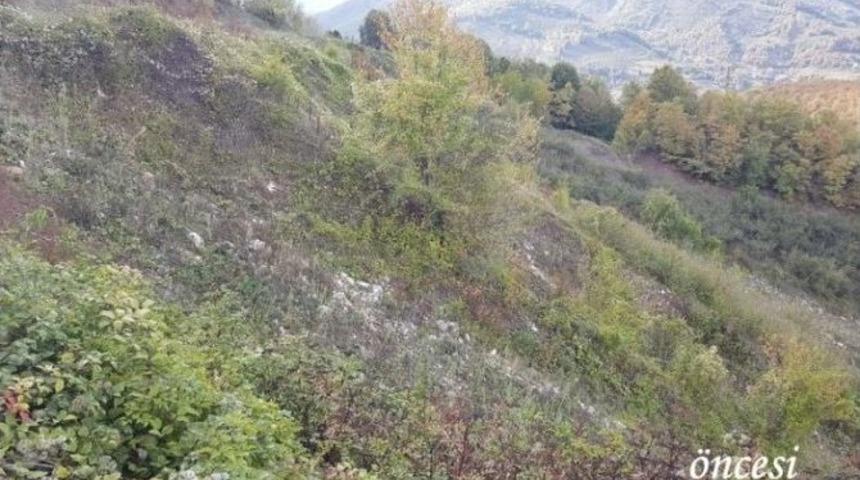 Yığılca&rsquo;da 62 Dekar Alan Ağa&ccedil;landırılıyor