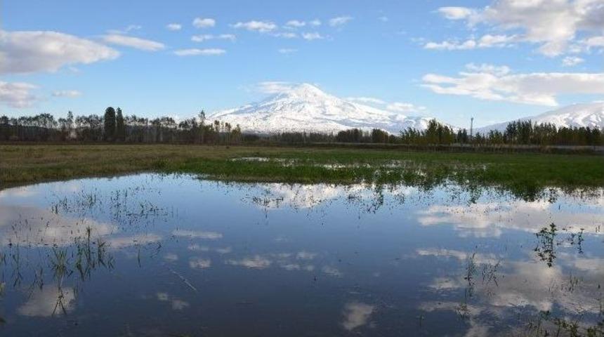 Iğdır&rsquo;da Beyazla Yeşilin Buluşması