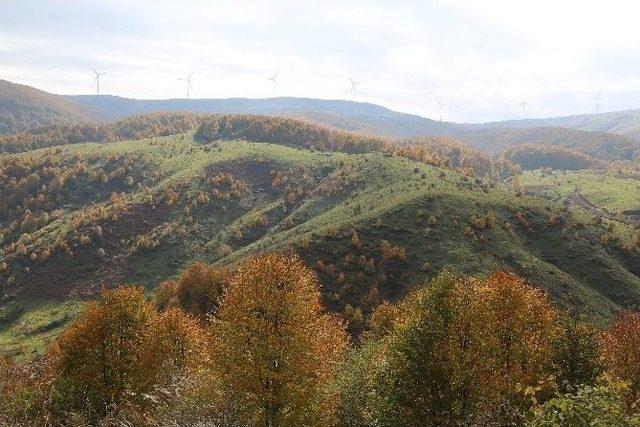 Ordu Yaylalarında Rüzgardan Enerji Üretiliyor