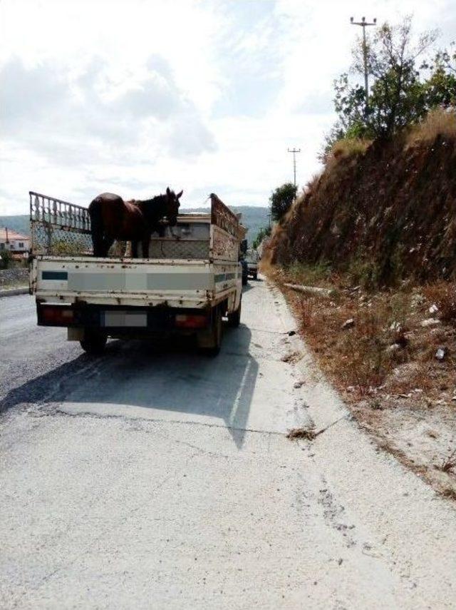 Hatalı Parklar Engelli Vatandaşı İsyan Ettirdi